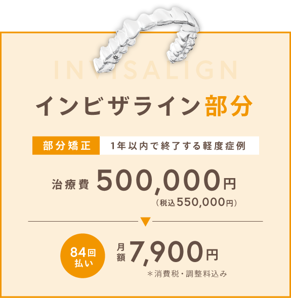 インビザライン 部分